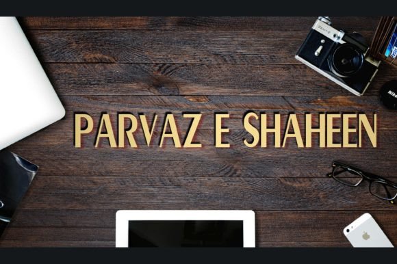 Parvaz E Shaheen: Elevate Your Design Projects